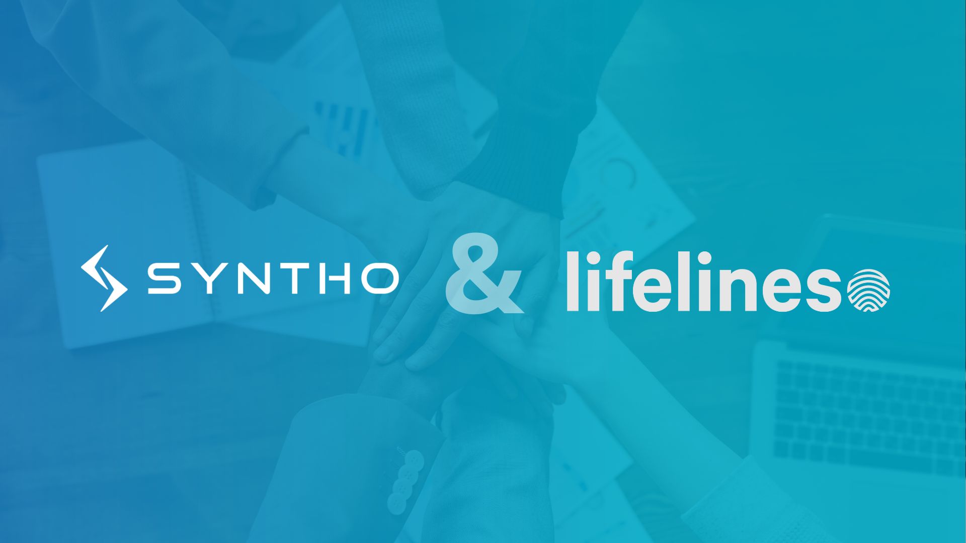 Syntho Checkout 2024 Conditions Pricing Security
